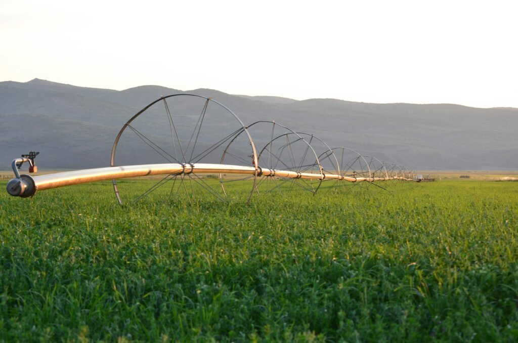 Drip Irrigation for Chilli Farming in Andhra Pradesh — Complete Guide 2025 2 drip irrigation for chilli farming Andhra Pradesh Guntur
