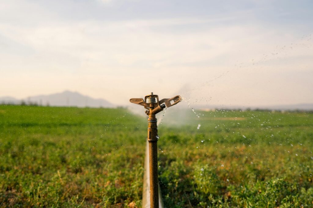 Drip Irrigation for Chilli Farming in Andhra Pradesh — Complete Guide 2025 1 pexels rodrigo armendariz 160126099 33881124